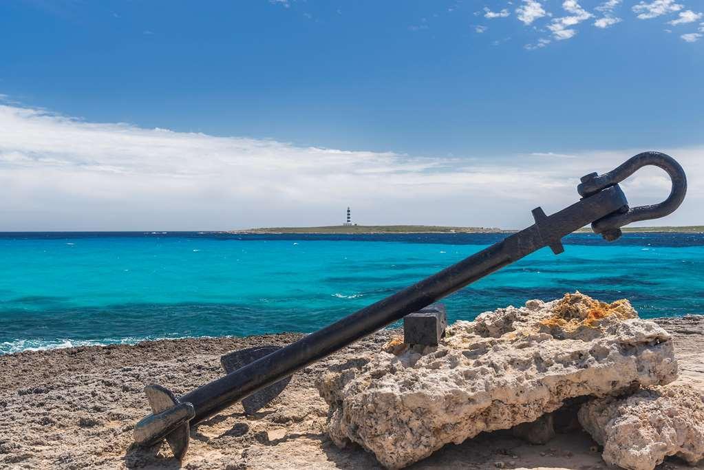 Occidental Menorca (Adults Only) Ξενοδοχείο Punta Prima  Φύση φωτογραφία