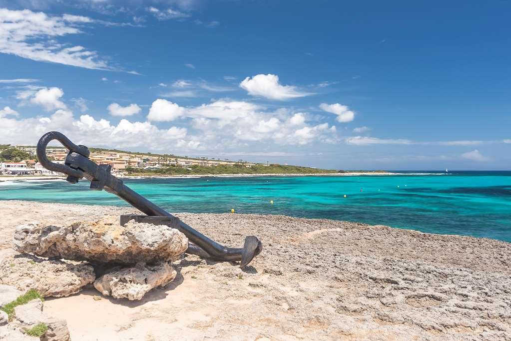Occidental Menorca (Adults Only) Ξενοδοχείο Punta Prima  Φύση φωτογραφία